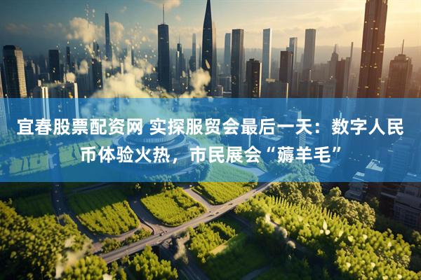 宜春股票配资网 实探服贸会最后一天：数字人民币体验火热，市民展会“薅羊毛”