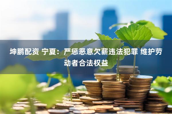 坤鹏配资 宁夏：严惩恶意欠薪违法犯罪 维护劳动者合法权益