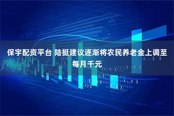 保宇配资平台 陆挺建议逐渐将农民养老金上调至每月千元